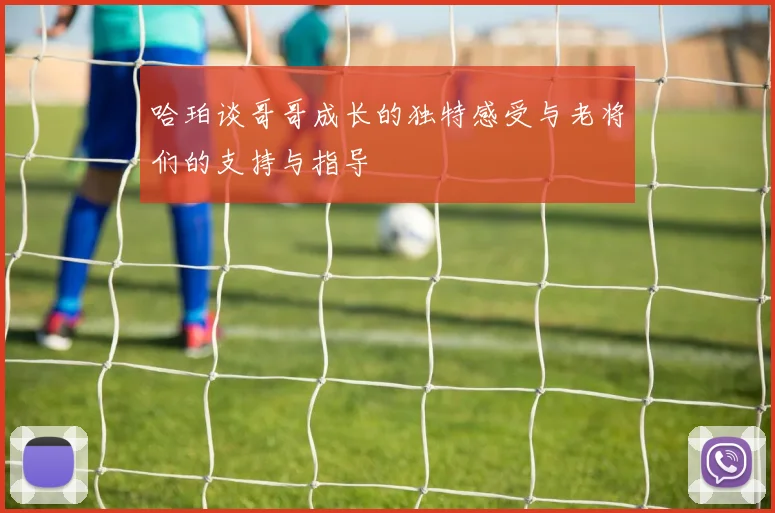 哈珀谈哥哥成长的独特感受与老将们的支持与指导