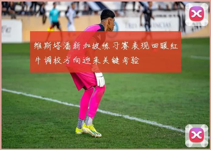 维斯塔潘新加坡练习赛表现回暖红牛调校方向迎来关键考验
